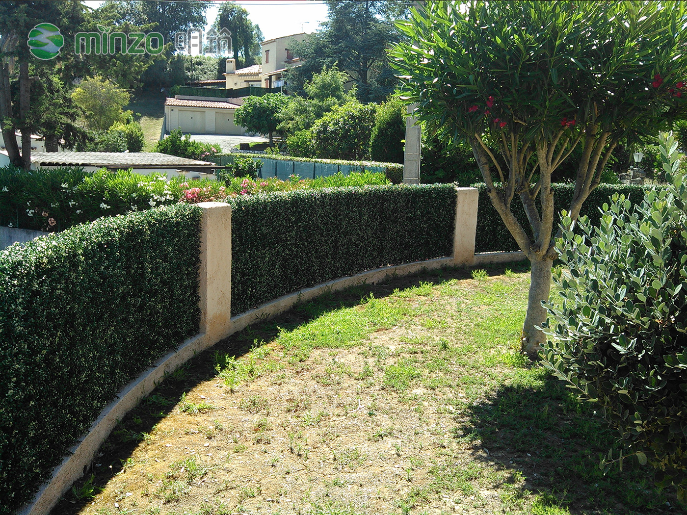 還在擺盆栽？仿真植物讓生活貼近自然